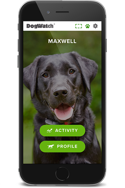 DogWatch of the Coastal Bend LLC, Aransas Pass, Texas | SmartFence WebApp Image