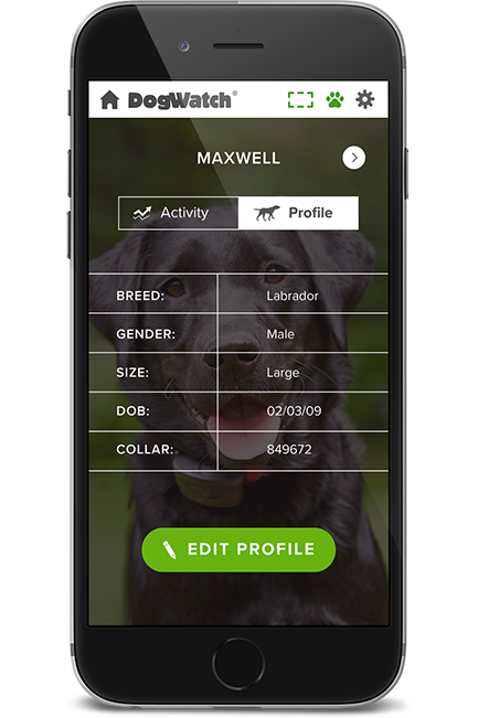 DogWatch of the Coastal Bend LLC, Aransas Pass, Texas | SmartFence WebApp Image